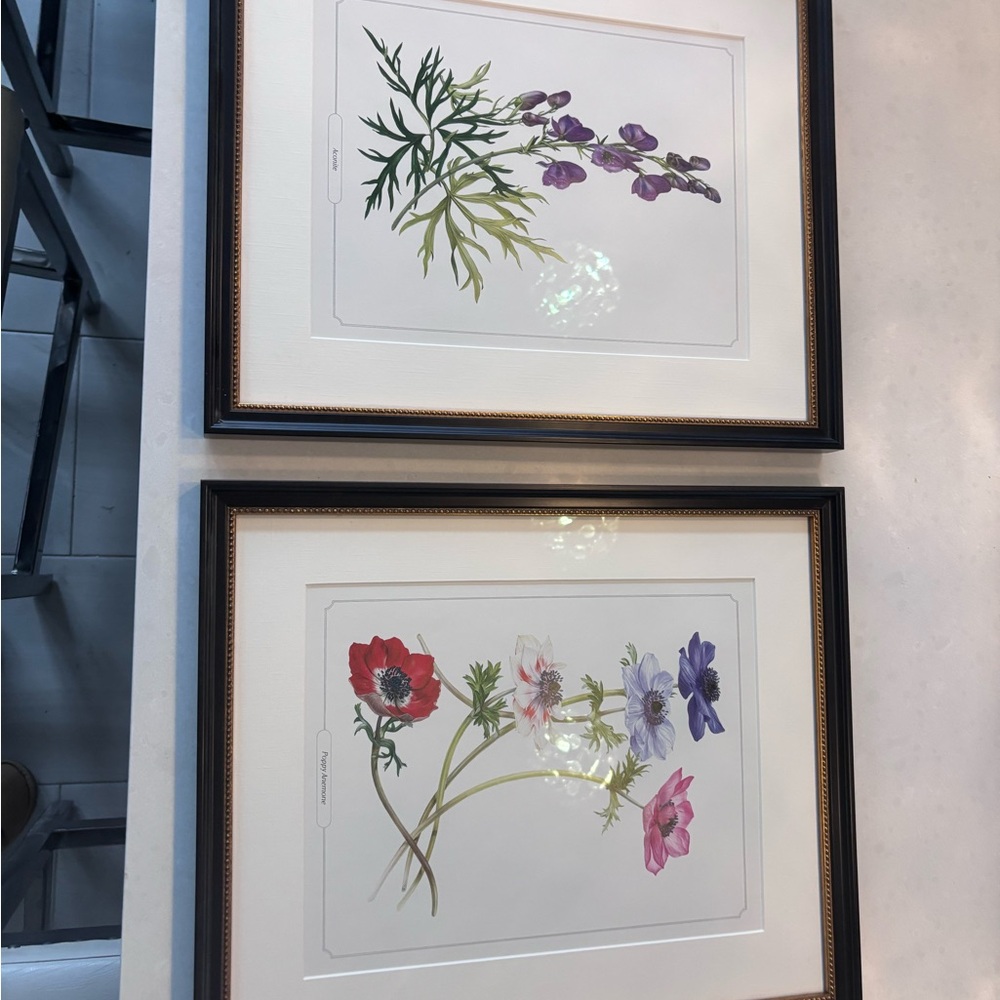 Floral Botanical Art Prints in Black Frames